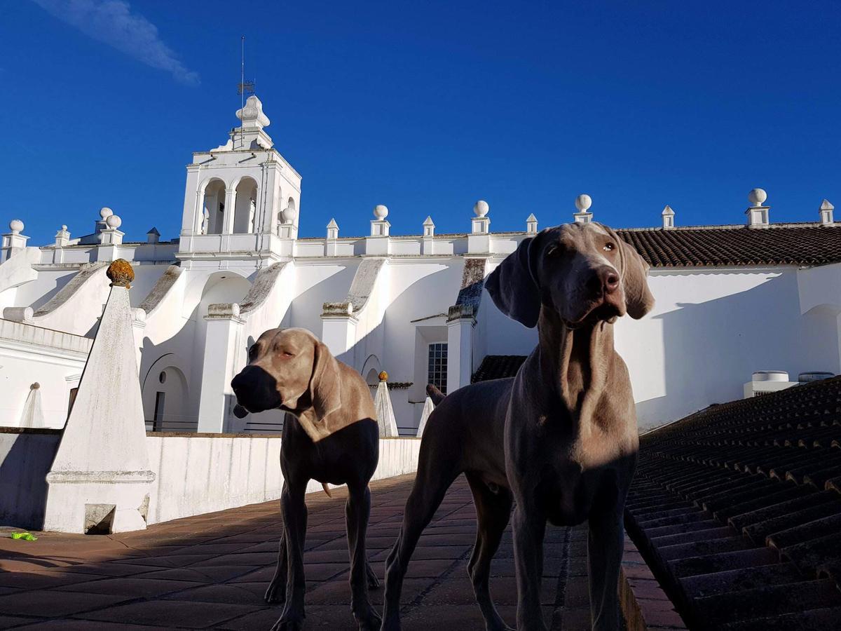 Convento Do Espinheiro, Historic & Hotel Évora